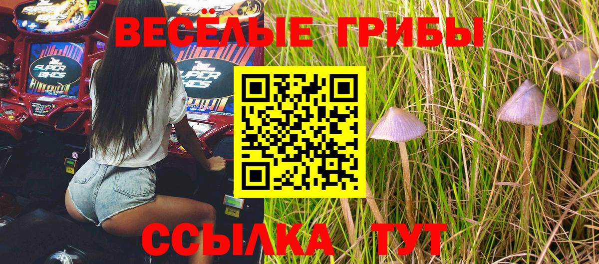 Галлюциногенные грибы MAGIC MUSHROOMS Зерноград
